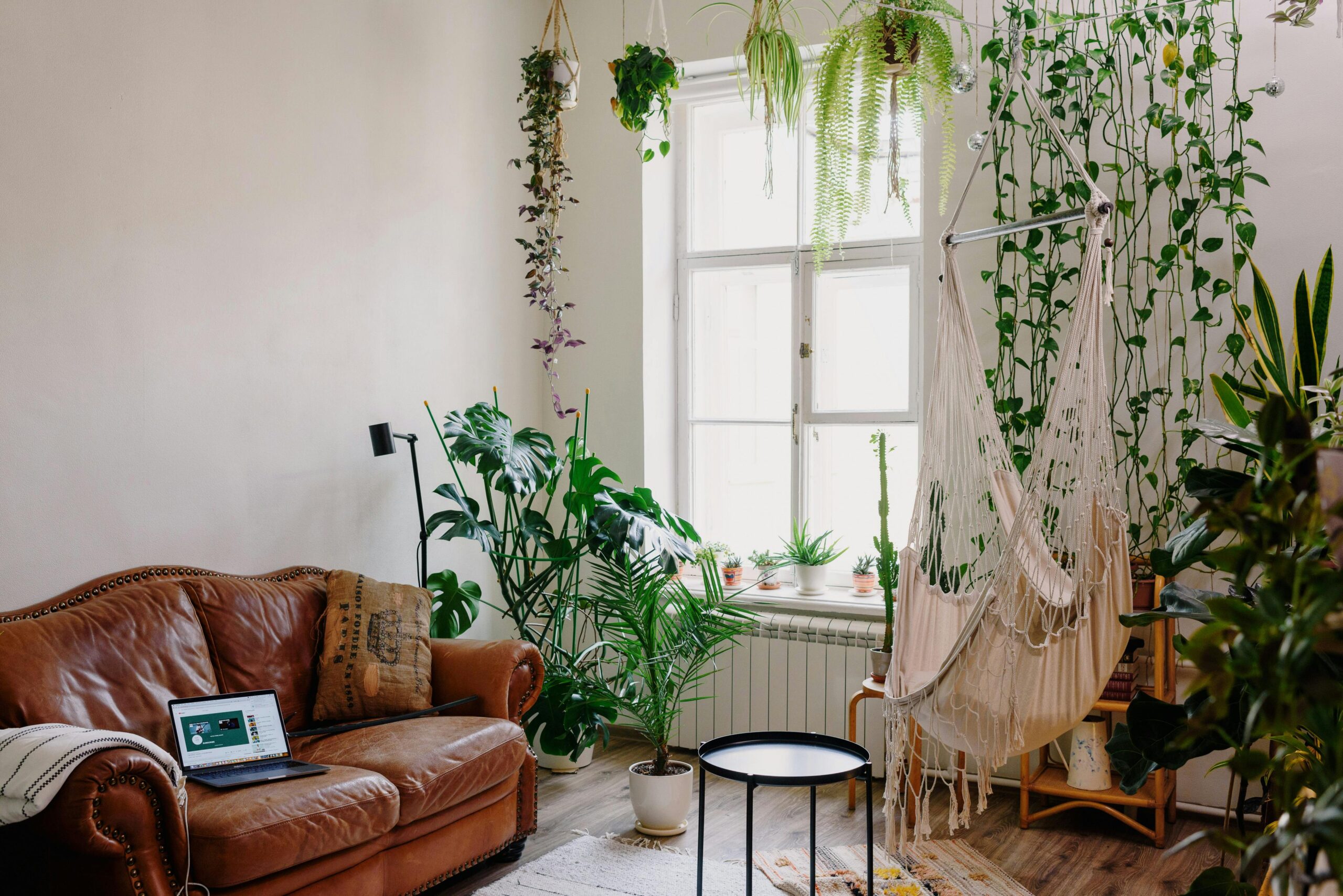 salón con plantas minimalista