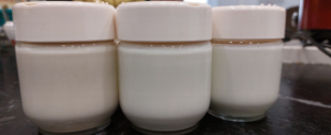 yogur yogurtera moulinex